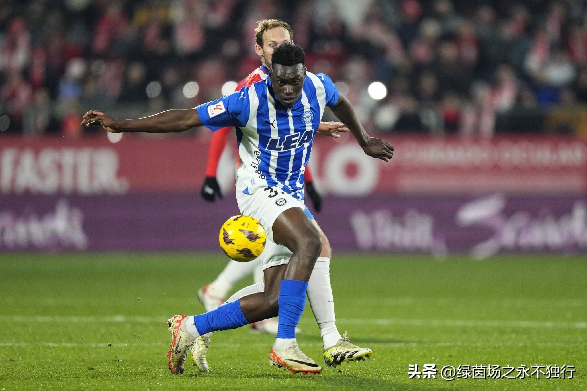 关于今晨浙江队调整名单以备葡超，回应争议环节打磨，震撼外界，赛季目标并未改变的信息